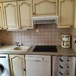 Appartement T3 Duplex Les Marmottes Le Mont-Dore